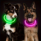 LED Dog Collar, Rechargeable Light Up Reflective Nylon Collar
