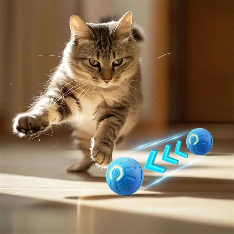 Interactive Dog Ball – USB Rechargeable Automatic Moving Toy