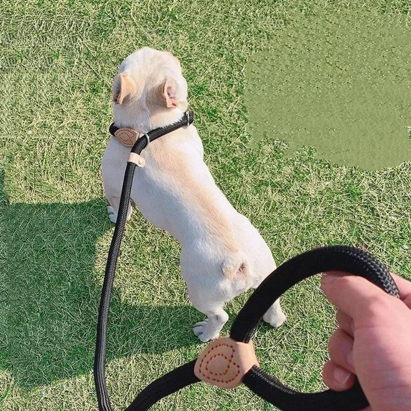 Adjustable Dog Leash – Nylon Slip Lead for Small to Medium Dogs