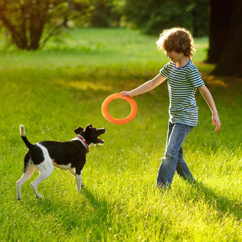 Dog Training Ring Rubber Interactive Fetch Toy for Dogs