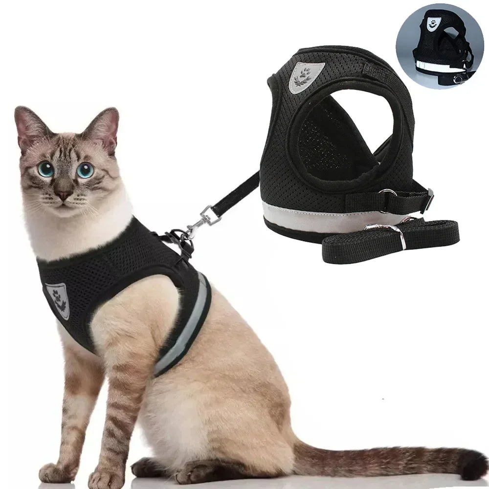 Product Title  Cat Harness and Leash Set