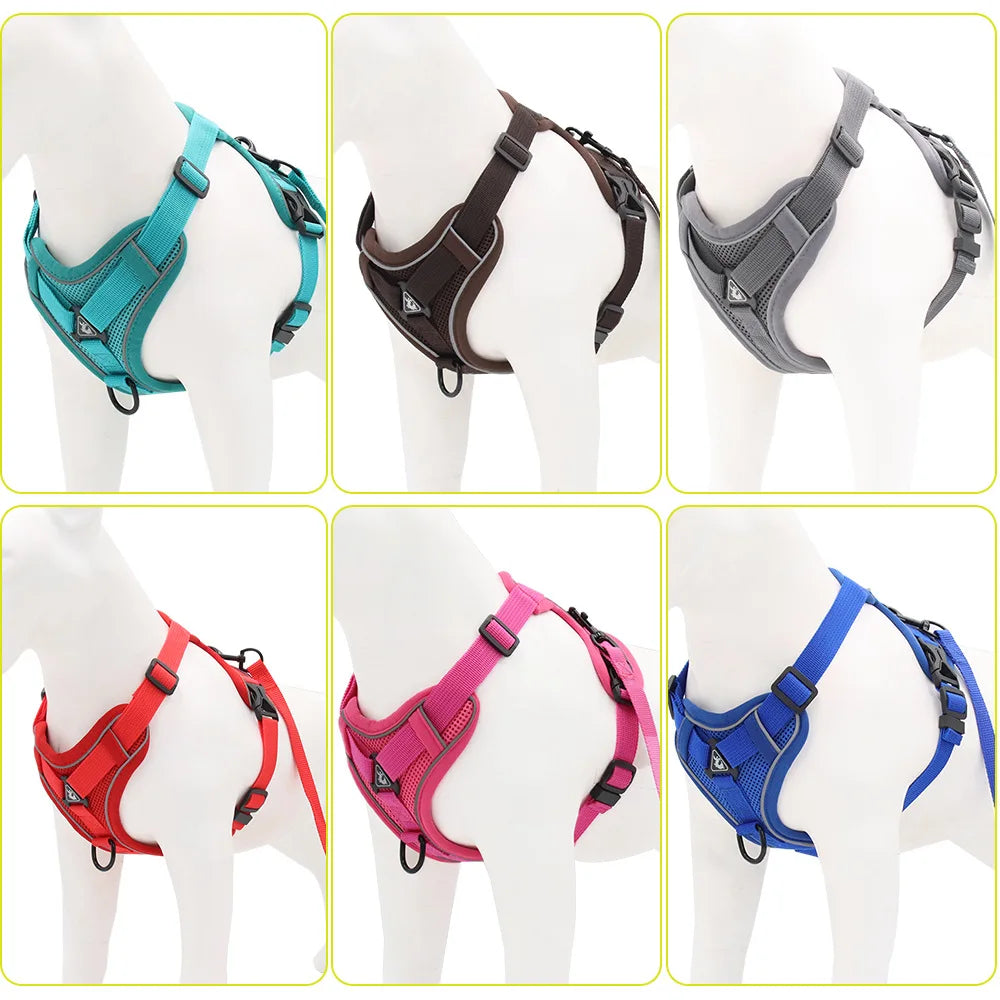 Small Dog Harness and Leash Set – Adjustable Vest