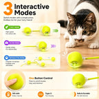 Cat Grooming Arch with Massage Brush & Scratching Pad