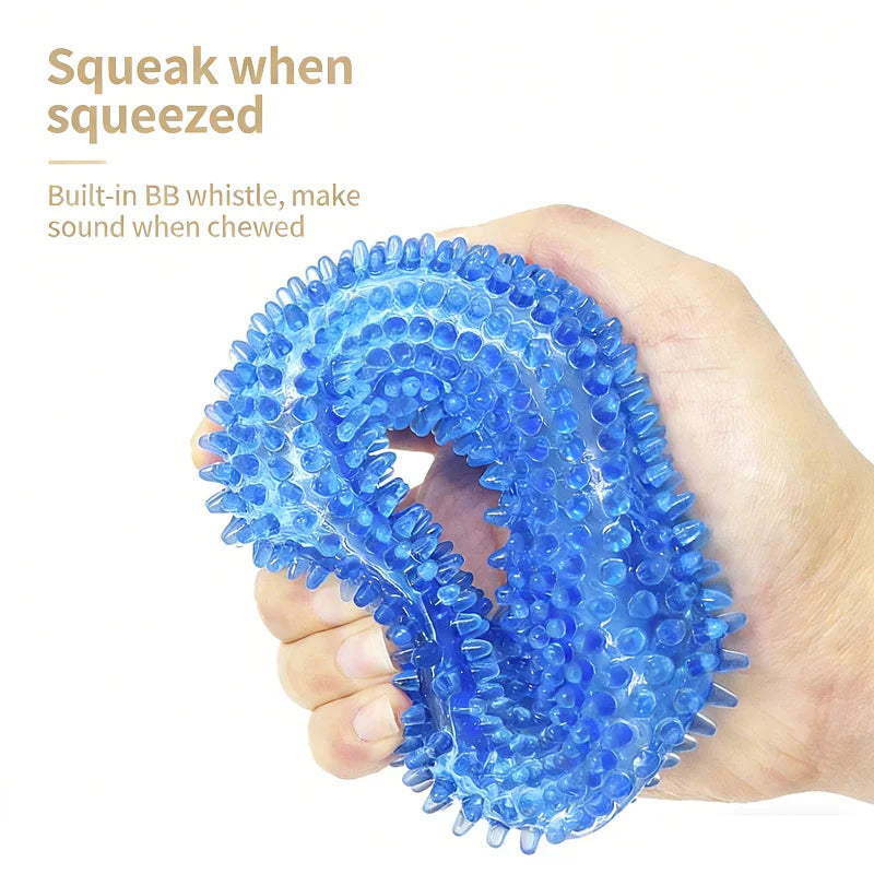 Squeaky Dog Ball – Interactive Chew & Fetch Toy for Dogs