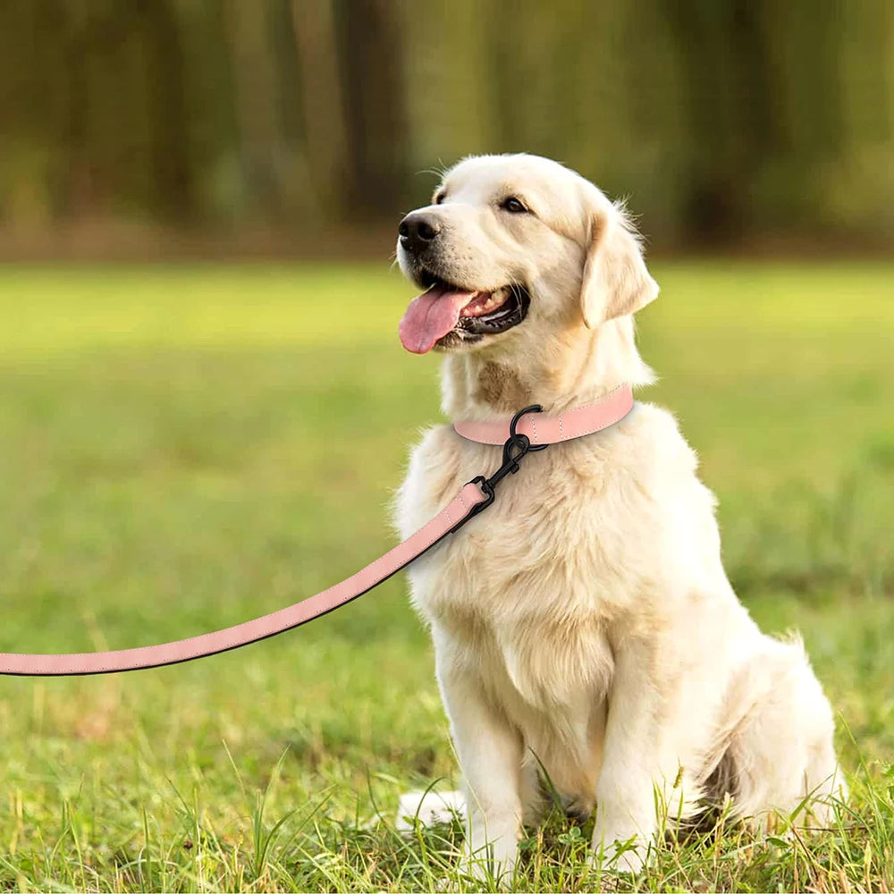 PU Leather Dog Collar and Leash Set, Adjustable Padded