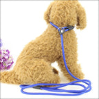 Pet Hair Remover Roller with Self-Cleaning Base for Dogs & Cats