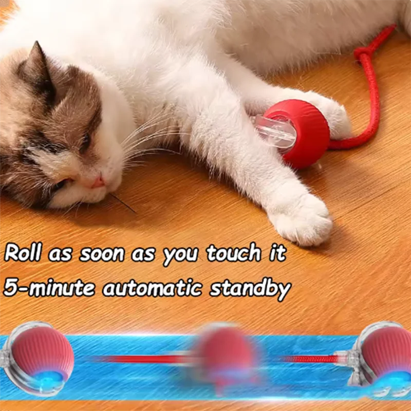 Automatic Cat Ball Toy – Rechargeable Rolling Interactive Toy