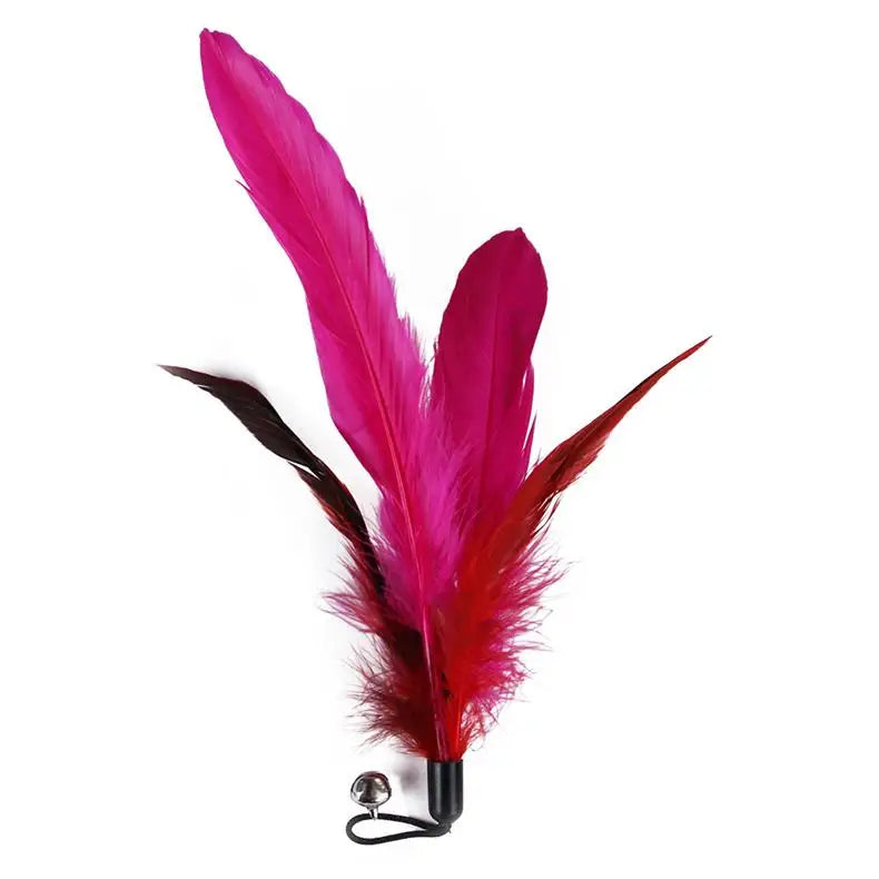 Cat Feather Wand Toy – 11 Piece Retractable Teaser Set