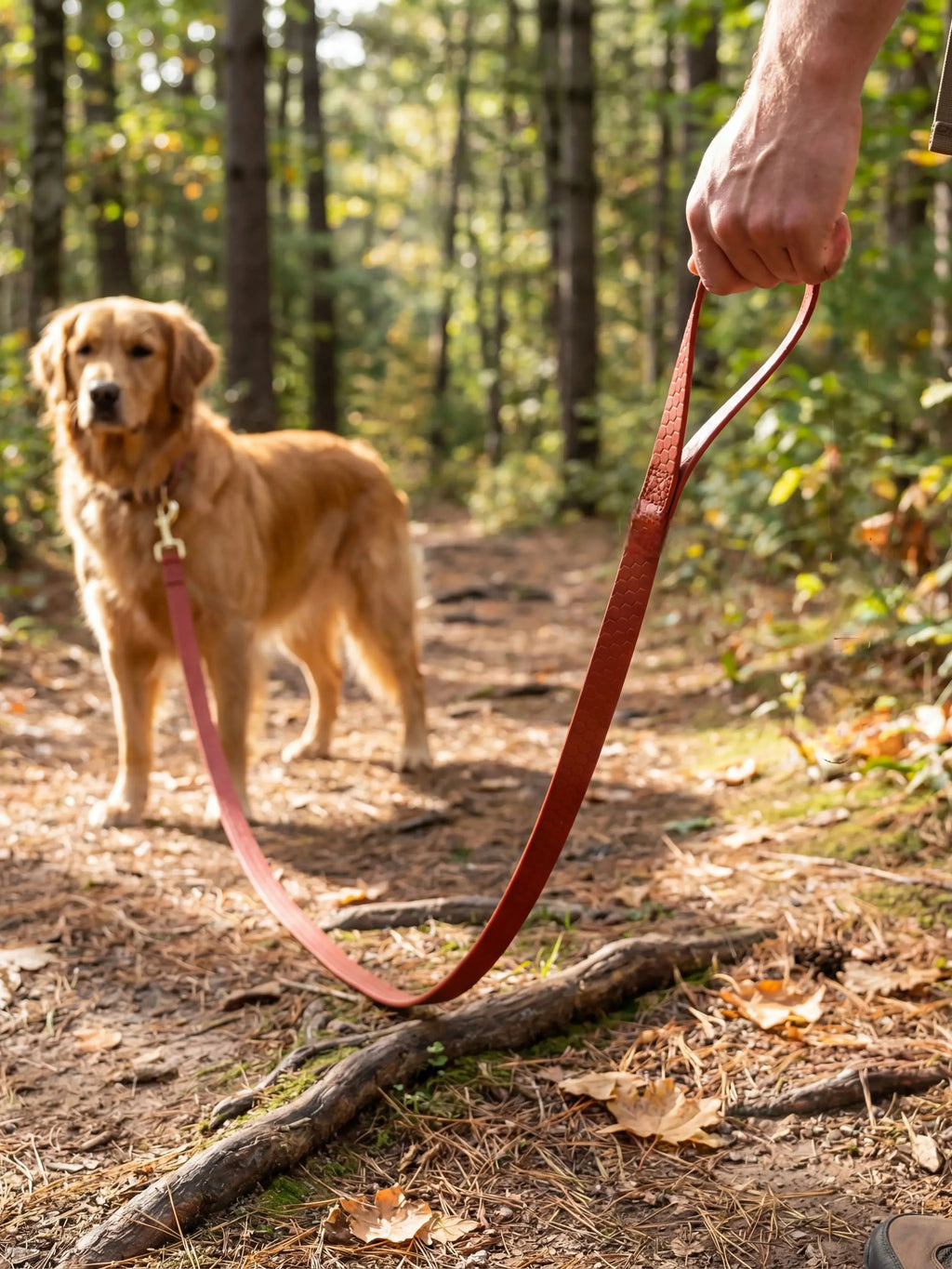 PVC Dog Leash – Waterproof Honeycomb Texture with Quick-Release Buckle