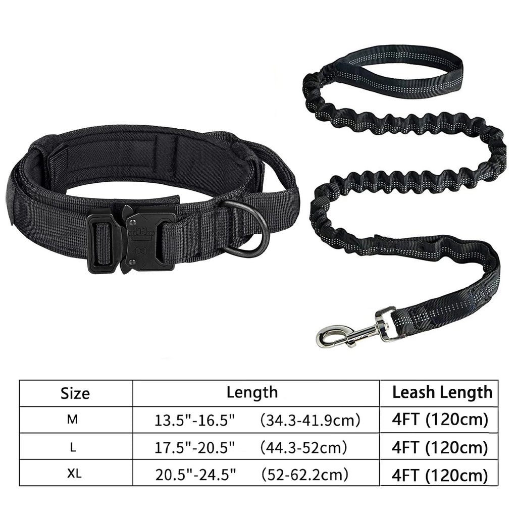 Dog Collar and Leash Set