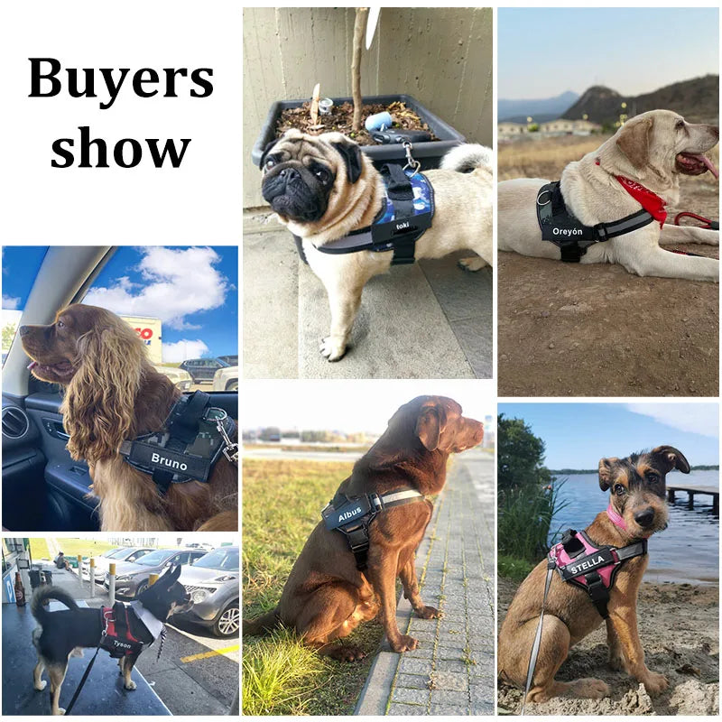 No Pull Dog Harness, Reflective Breathable Vest for Walking