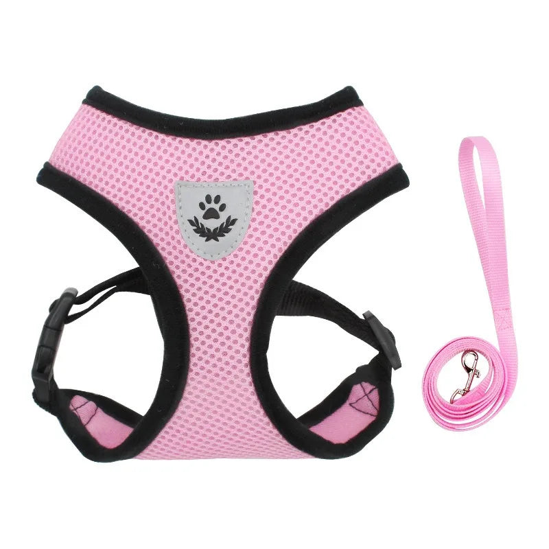 Cat Harness and Leash – Reflective Quick Release Walking Set