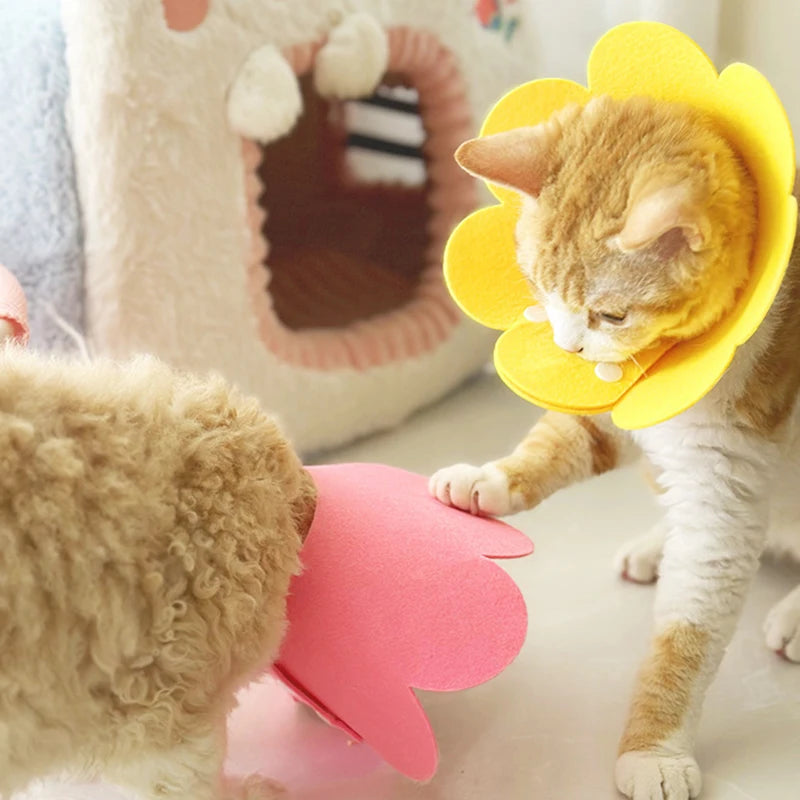 Pet Recovery Cone – Protective Collar for Dogs & Cats