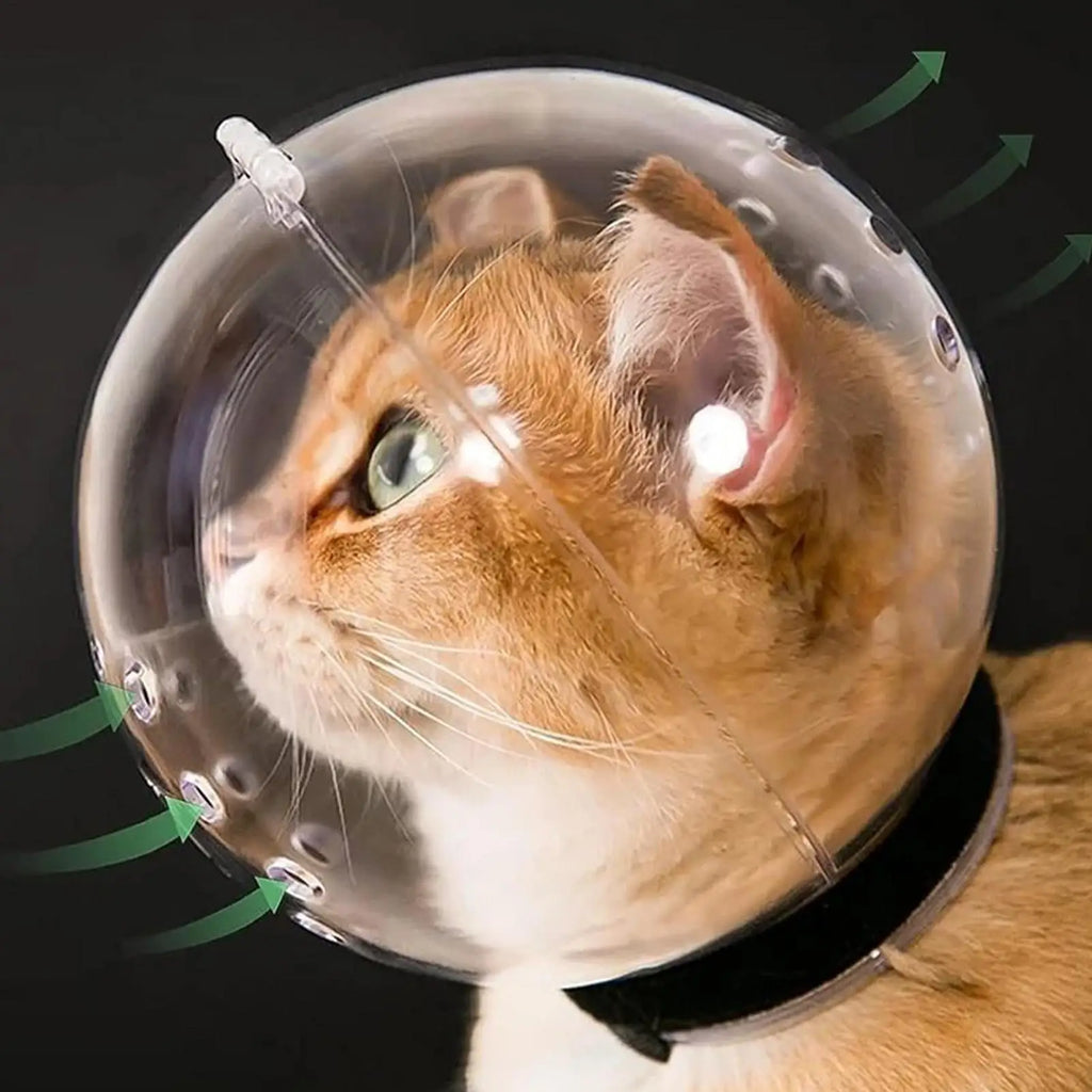 Cat Bubble Muzzle Breathable Sturdy Muzzle Mask Cat Head Cover Space Hood  Protective Helmet Anti-bite Pet Grooming Supplies