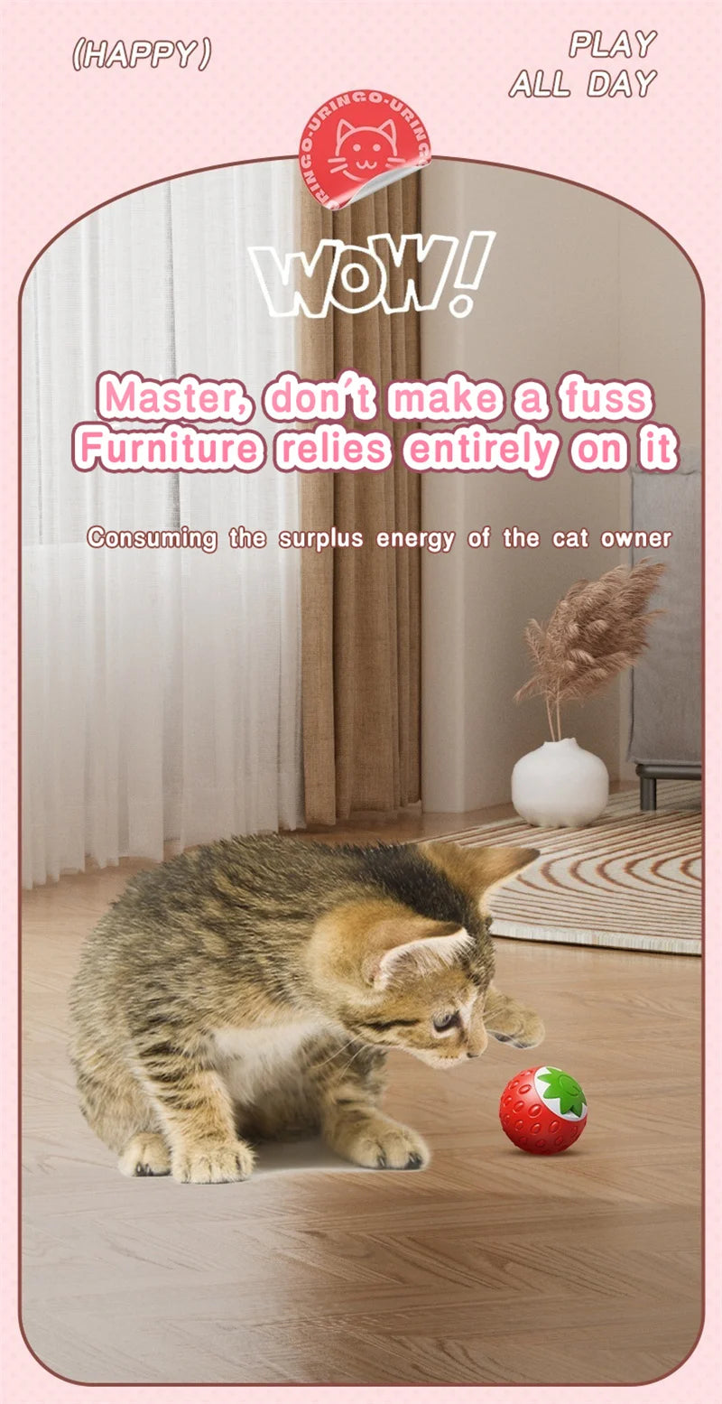 Automatic Interactive Cat Toy Ball – USB Rechargeable Rolling Toy