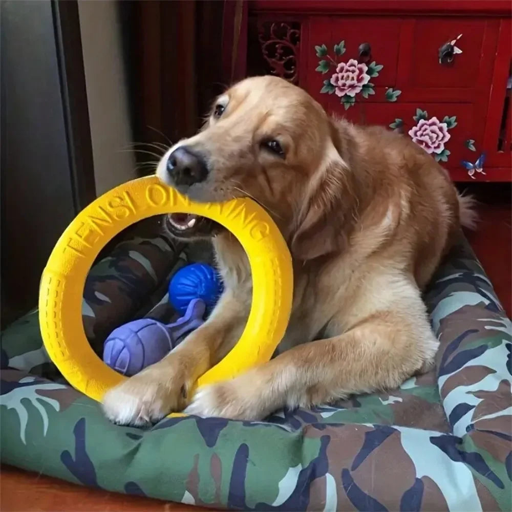 Flying Disc Dog Toy – Interactive Fetch & Pull Ring