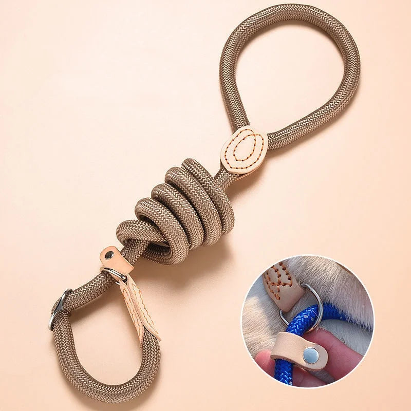 Slip Rope Dog Leash – Adjustable Nylon Lead