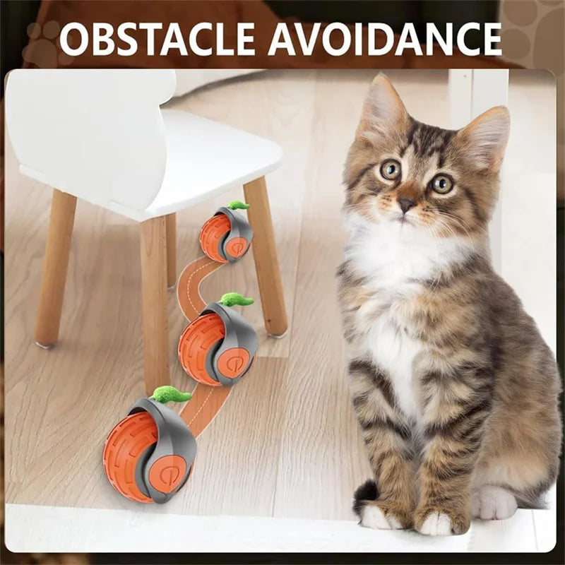 Automatic Interactive Cat Toy Ball – USB Rechargeable Rolling Toy