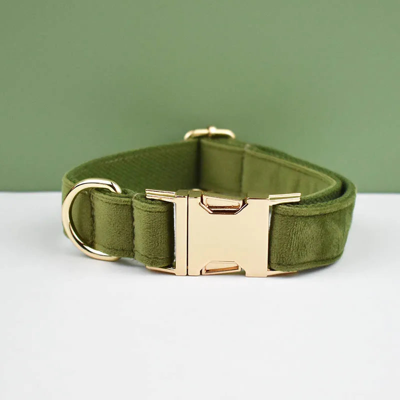 Dog Collar and Leash Set, Adjustable Velvet Collar with Gold Detail