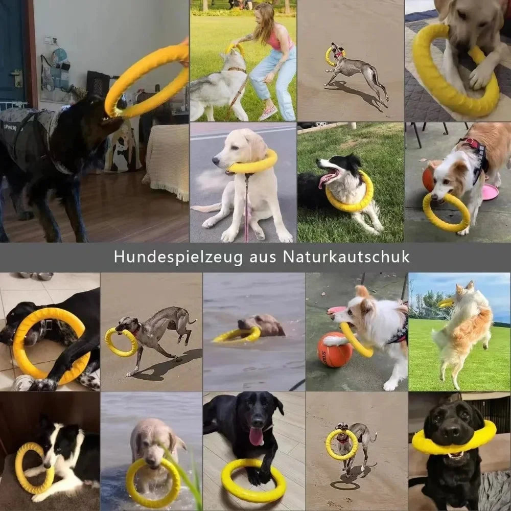 Flying Disc Dog Toy – Interactive Fetch & Pull Ring