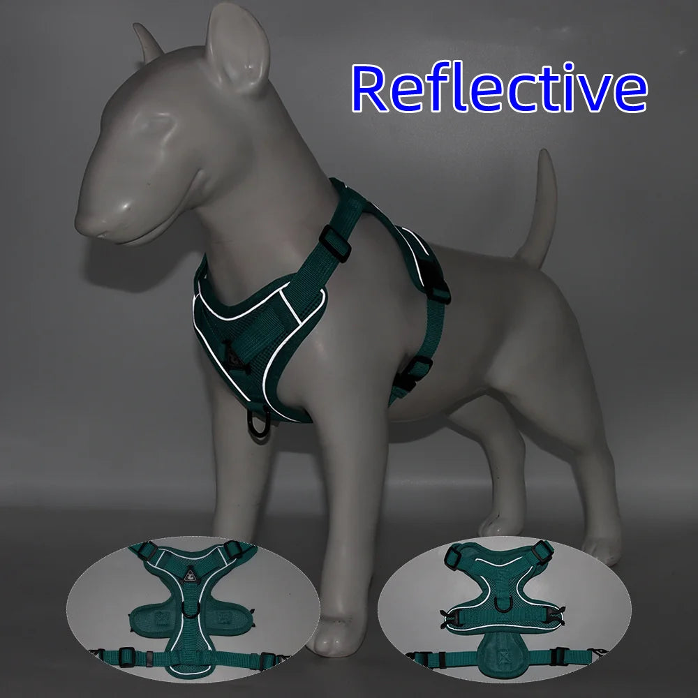 Small Dog Harness and Leash Set – Adjustable Vest