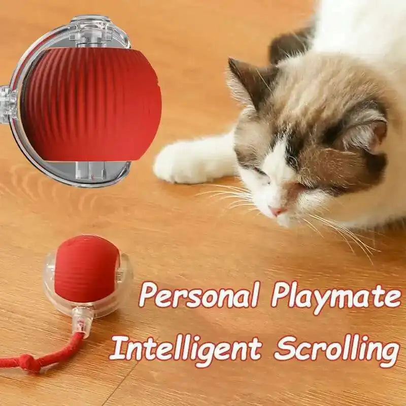 Automatic Dog Ball Toy – Rechargeable Interactive Rolling Ball