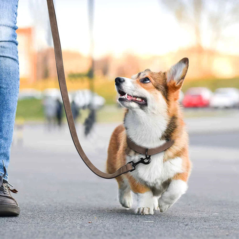 PU Leather Dog Collar and Leash Set, Adjustable Padded