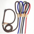 Slip Rope Dog Leash – Adjustable Nylon Lead