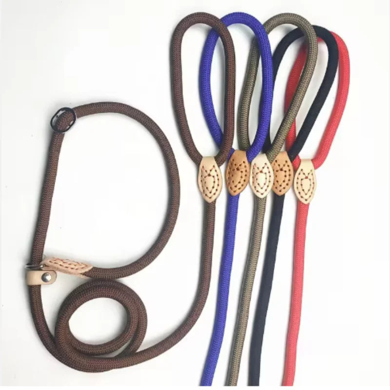 Slip Rope Dog Leash – Adjustable Nylon Lead