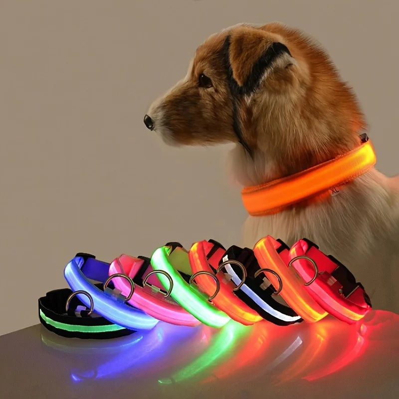 LED Dog Leash, Light-Up Nylon Safety Leash for Night Walking