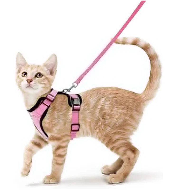Cat Harness and Leash Set – Adjustable Vest for Walking