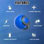 Interactive Cat Toy Ball, Catnip Squeaky Toy with Animal Sounds
