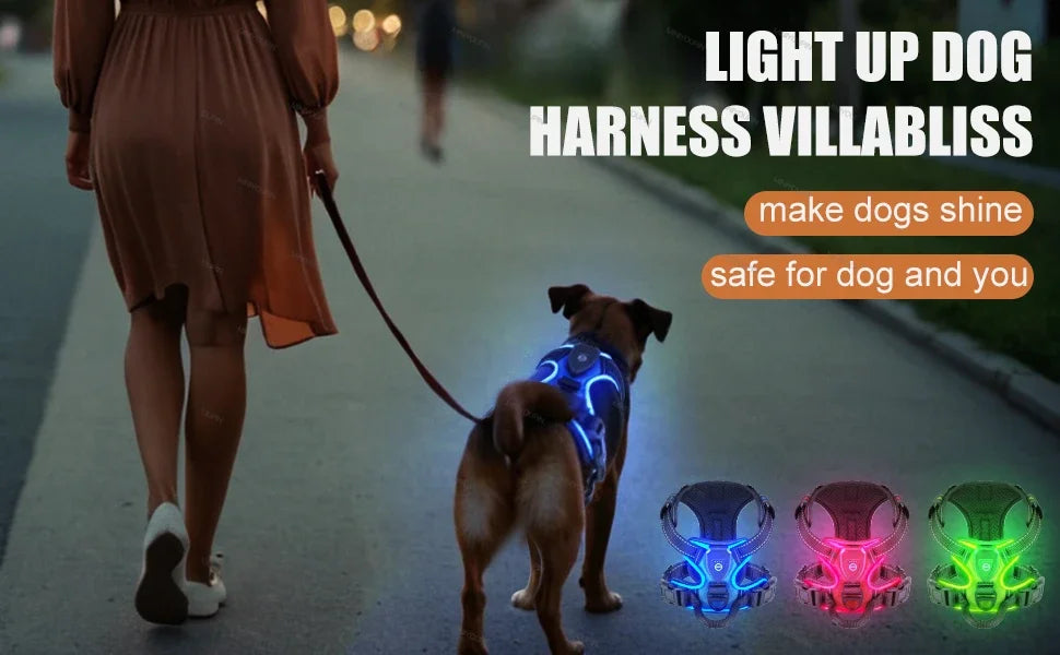 LED Dog Harness, Rechargeable Light Up Vest for Walking