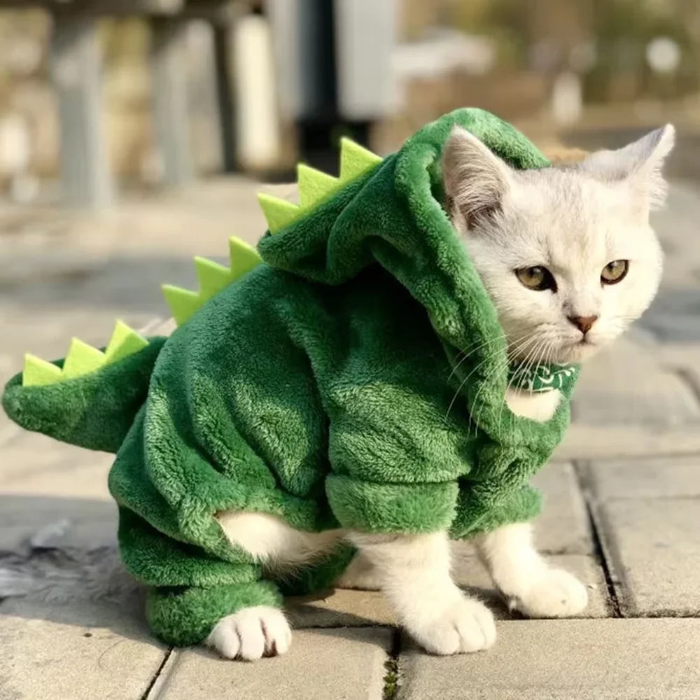 Halloween Dog Costume
