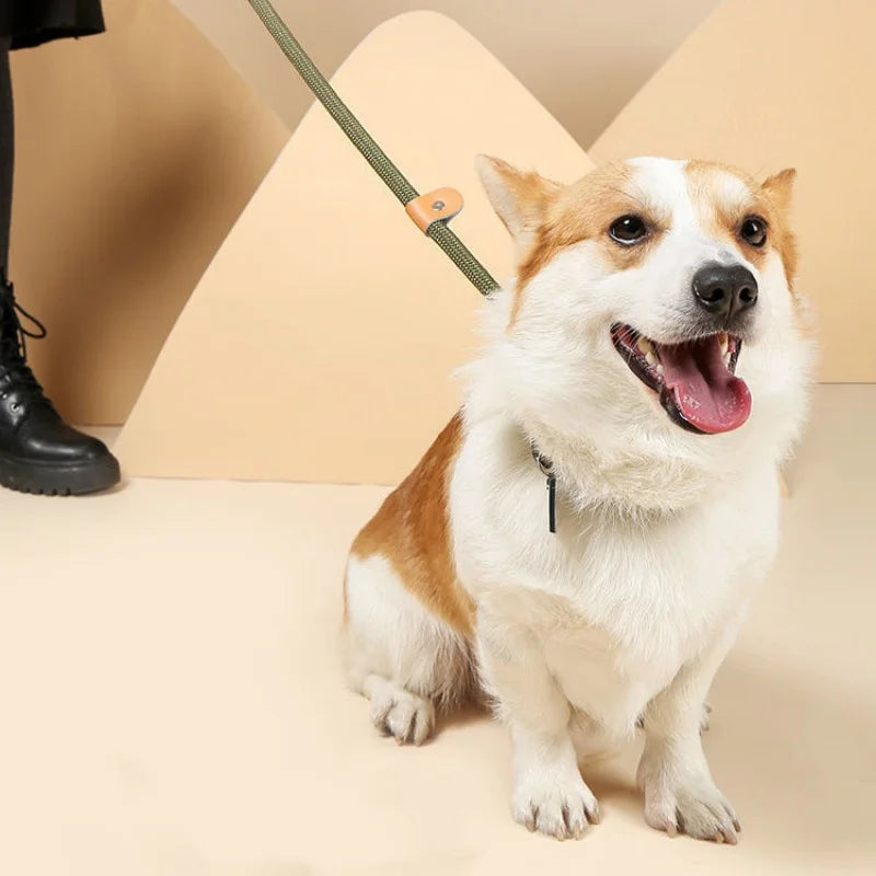 Slip Rope Dog Leash – Adjustable Nylon Lead