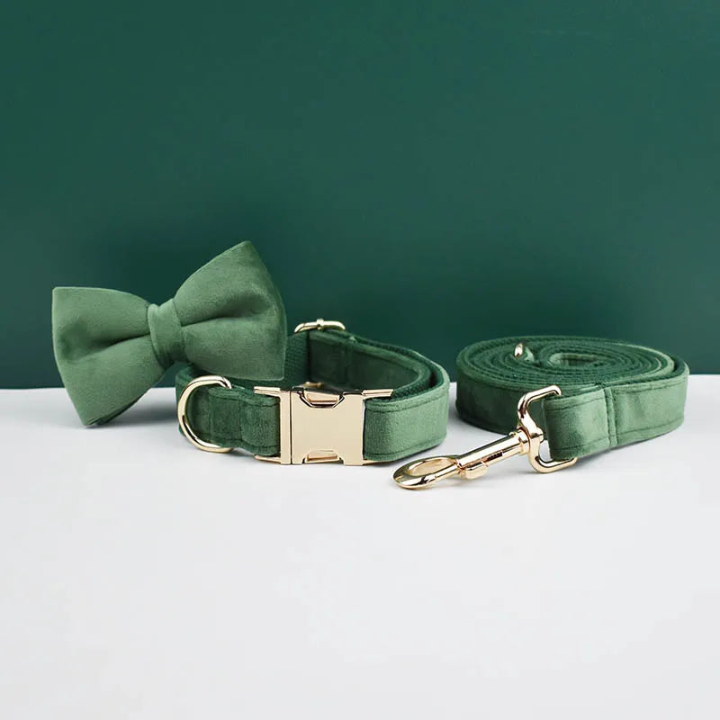 Dog Collar and Leash Set, Adjustable Velvet Collar with Gold Detail