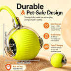 Cat Grooming Arch with Massage Brush & Scratching Pad