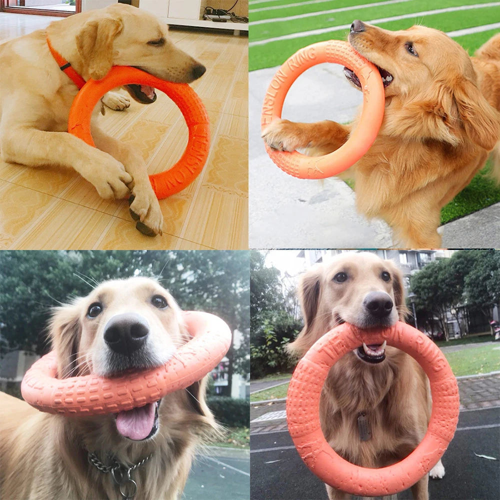 Flying Disc Dog Toy – EVA Interactive Training Ring