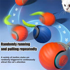 Interactive Cat Toy Ball, Catnip Squeaky Toy with Animal Sounds