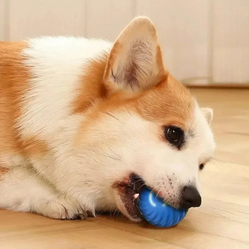 Automatic Dog Ball Toy – Interactive Rolling & Bouncing T