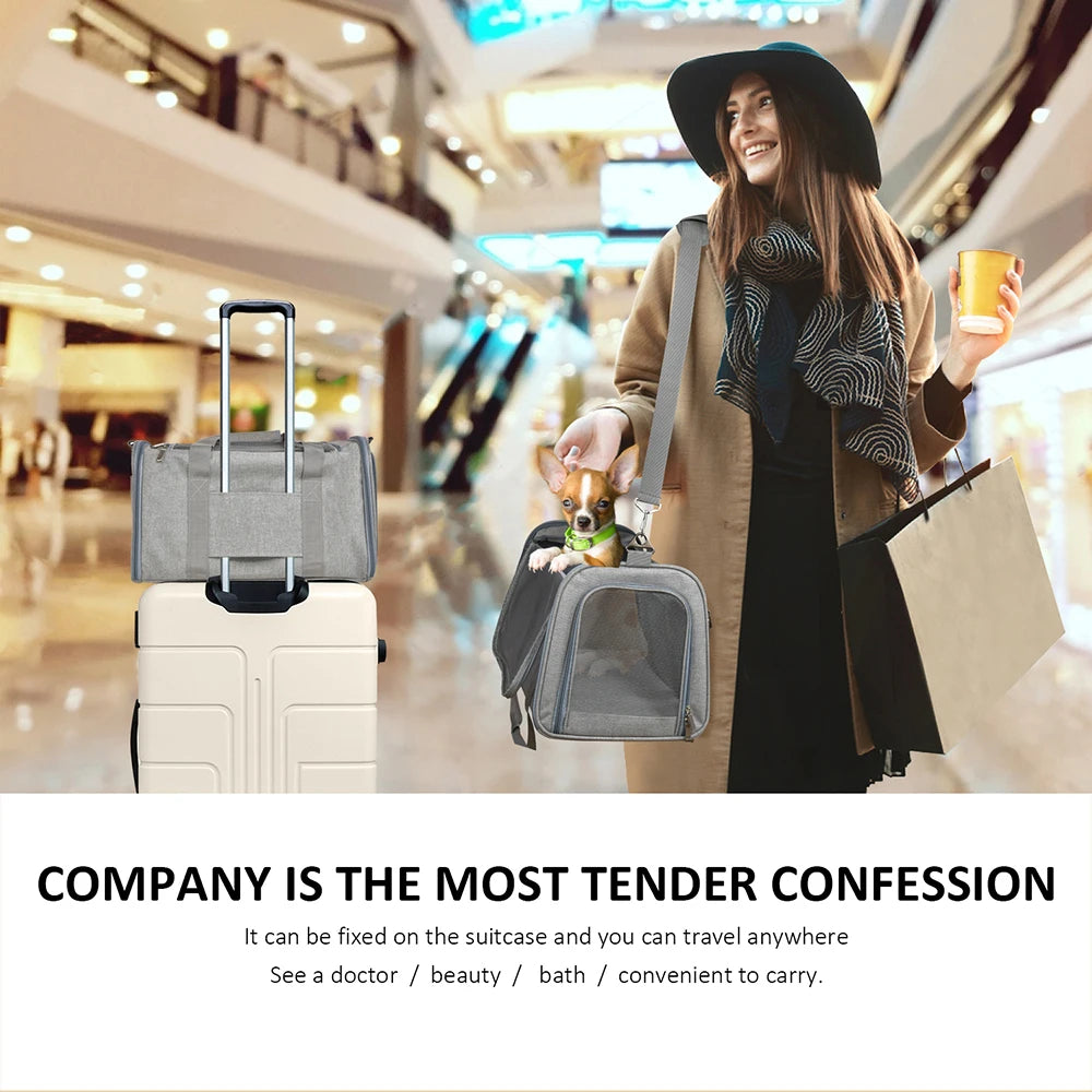 Small Dog Carrier Backpack – Soft-Sided Cat & Pet Travel Bag