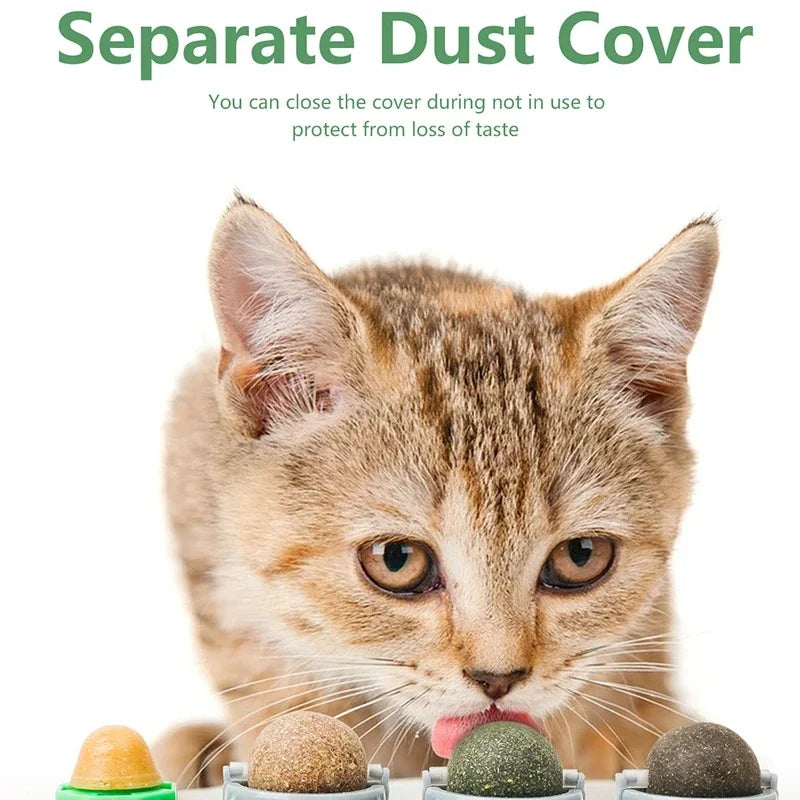Catnip Wall Ball Toy – Rotating Interactive Cat Teeth Cleaning Toy
