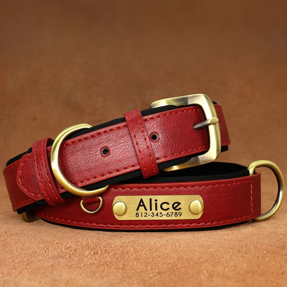 Personalized Dog Collar, Adjustable Padded PU Leather Collar