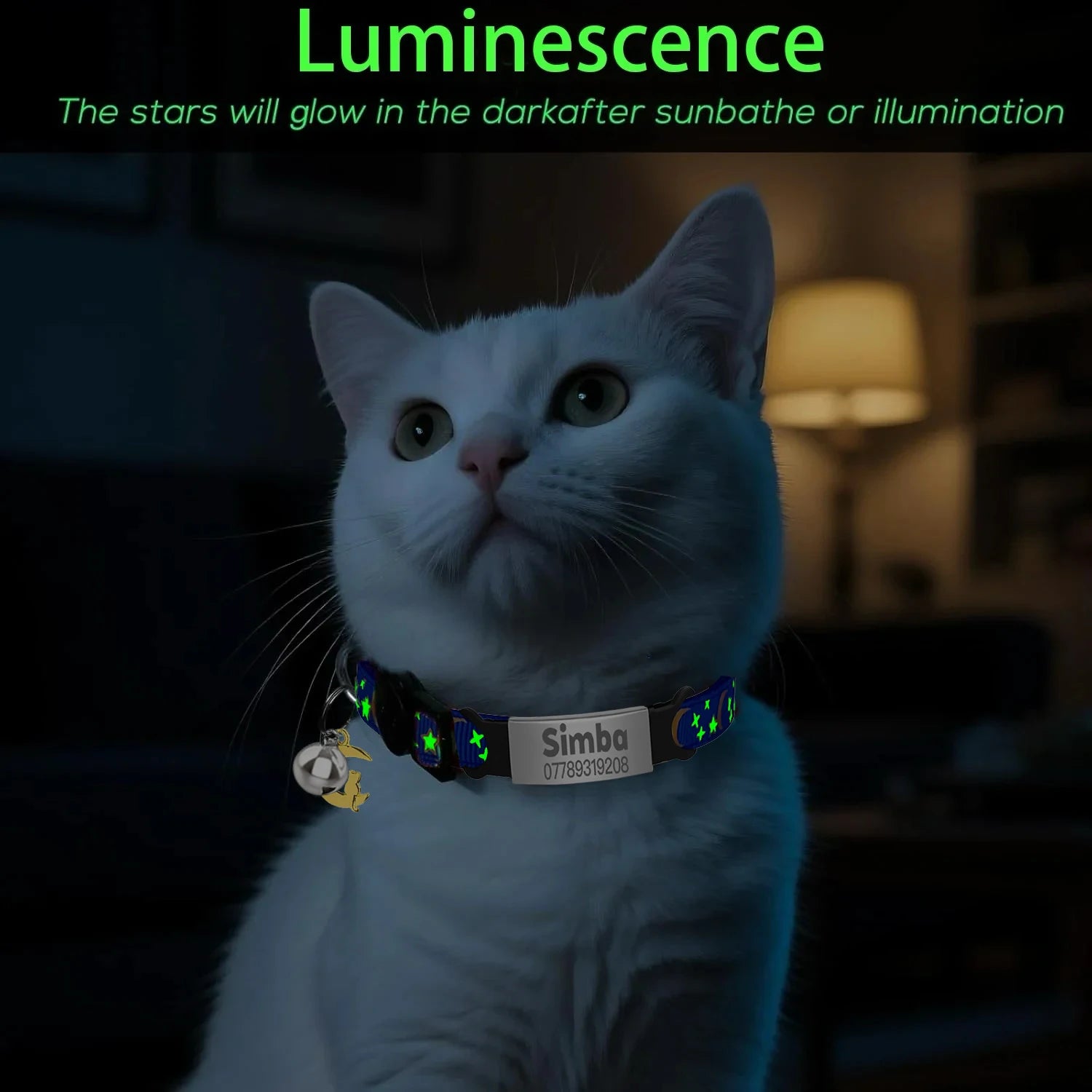 Personalized Cat Collar with Engraved ID Tag, Bell & Glow Design
