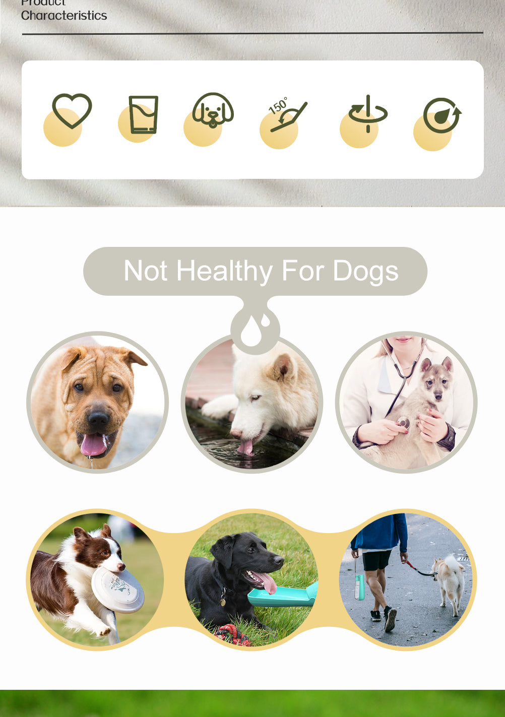 Portable Dog Water Bottle