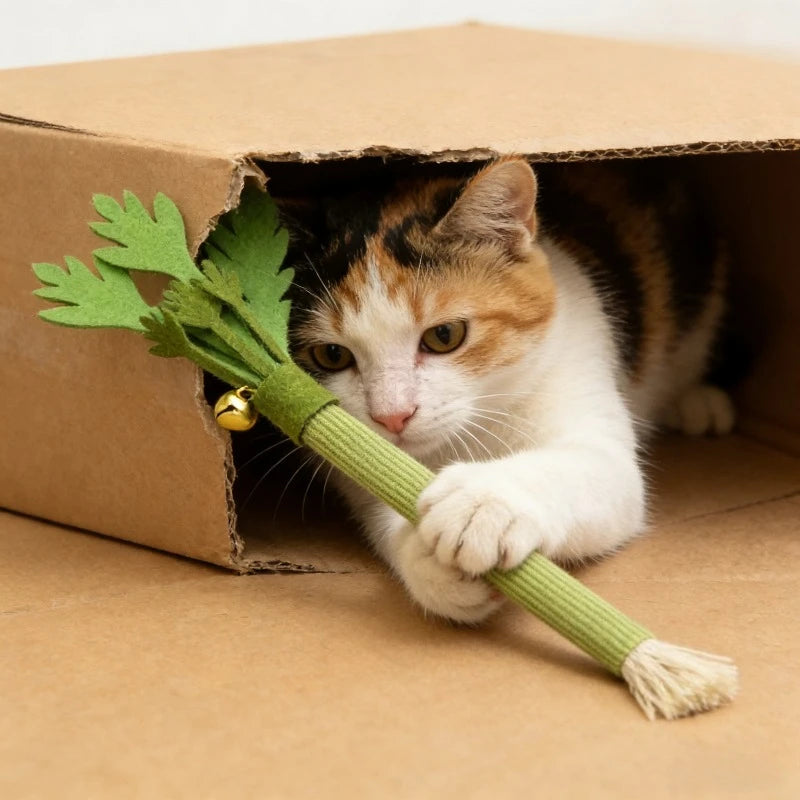 Catnip Chew Toy – Cat Dental Molar Stick with Squeaky Design