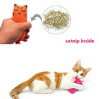 Catnip Cat Toy Plush Rustle Sound Toy for Kittens & Cats