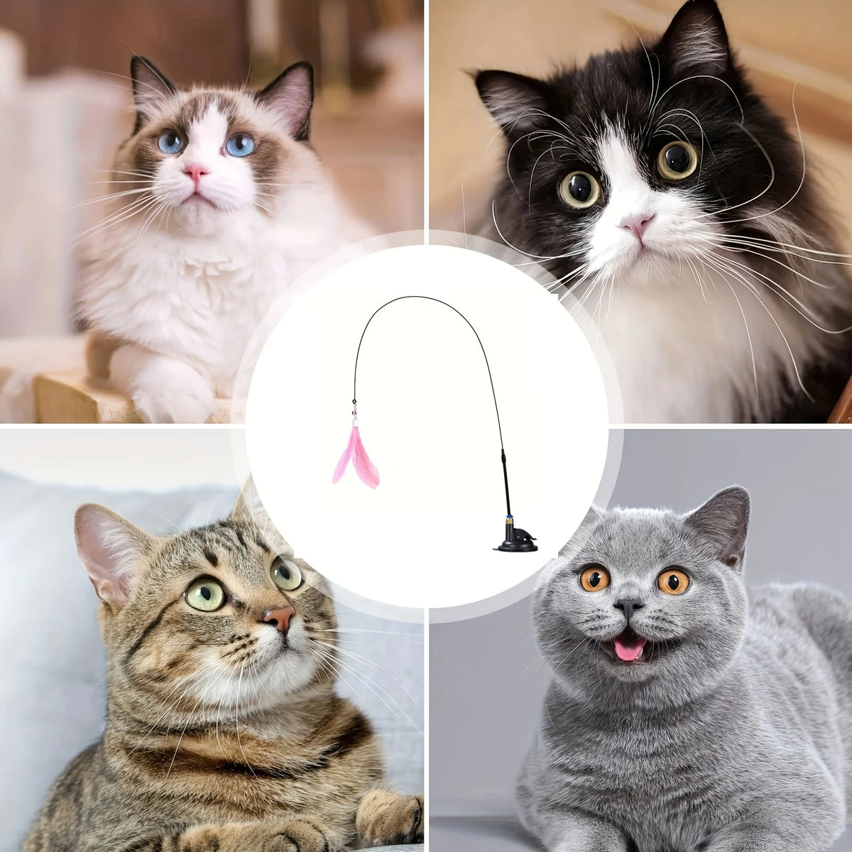 Interactive Cat Toy with Bell, Feather Wand & Suction Cup