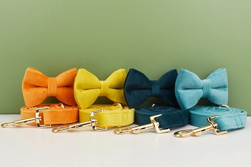 Dog Collar and Leash Set, Adjustable Velvet Collar with Gold Detail