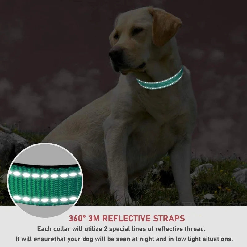 Reflective Dog Collar, Adjustable Nylon Safety Collar for Small & Medium Dogs